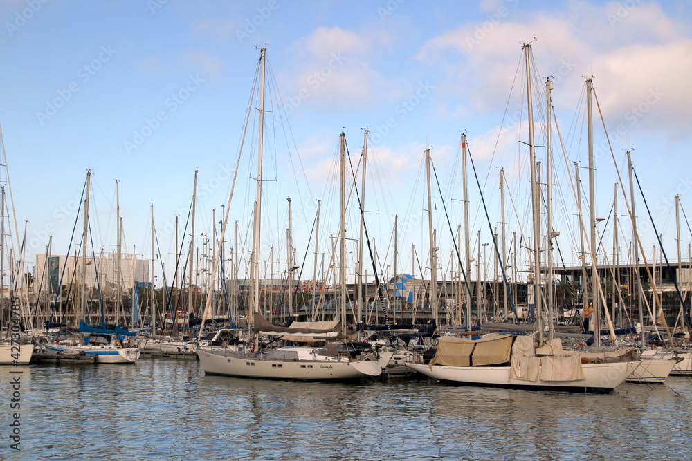 The sailboats are in the harbor.