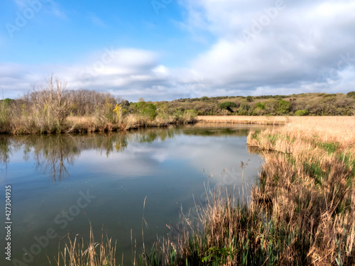 paysage dans la nature avec un étang et des bois © Bernard