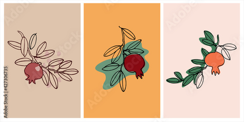 Decor printable art. Set of hand drawn vector illustrations of pomegranate fruits on branches
