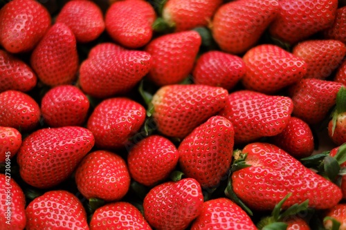 Strawberry berries background.Summer berries. Strawberry harvest.Berry wallpaper.Organic natural farm berries. Healthy natural dessert.
