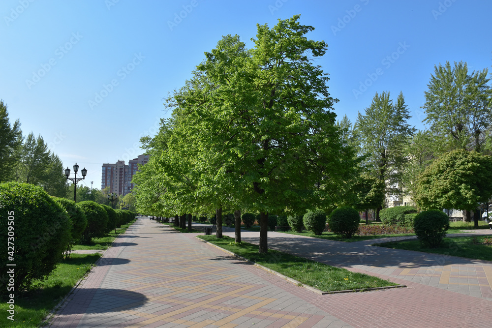 Russia, Rostov-on-Don park at spring