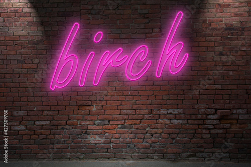 Neon BDSM birch (in german Birkenrute) lettering on Brick Wall at night