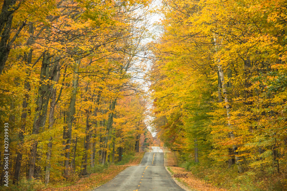 Obraz premium scenic autumn landscape photo taken during a road trip in Michigan.