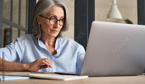 Mature adult 60s aged woman working at laptop watching video conference webinar training, virtual meeting. Business lady e learning online computer classes, typing, seniors and remote education.