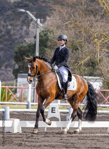 Dressage rider in competition with wonderful brown Lusitano horse. © Ayla Harbich