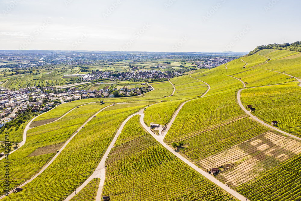 Weinberge über Weinstadt, Remstal / Rems-Murr-Kreis