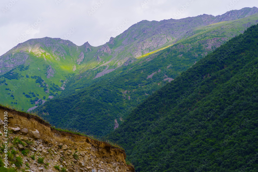 Green gorge of the Cherek-Bezengi river near the village of Bezengi