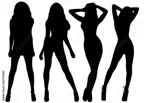 Beautiful girls in a swimsuit in a set. Vector image.