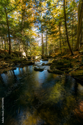 colorful autumn foliage with calming cascading waterfall in Pennsylvania.