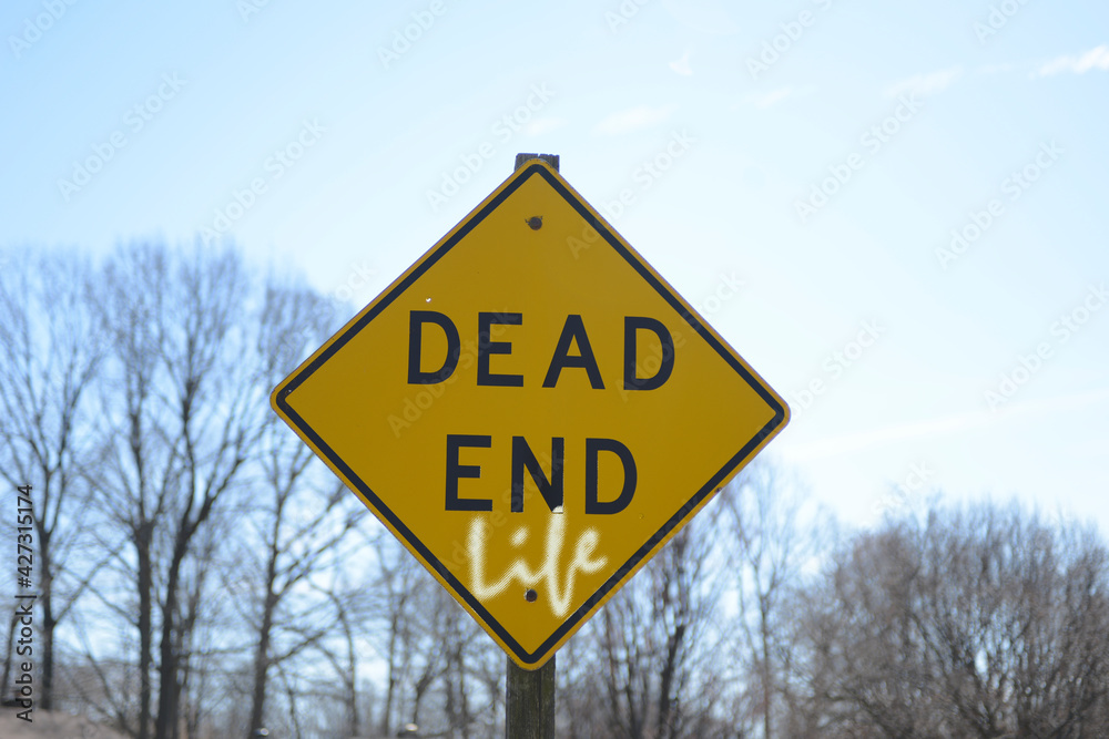 Dead end life