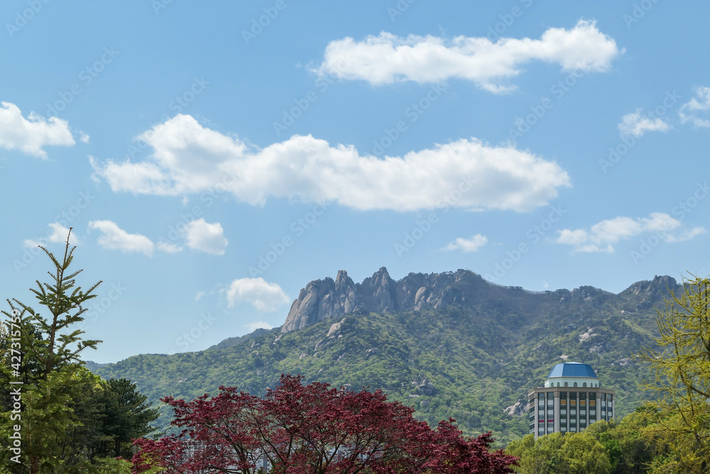 Obraz premium Landscape of Dobong mountain in Seoul