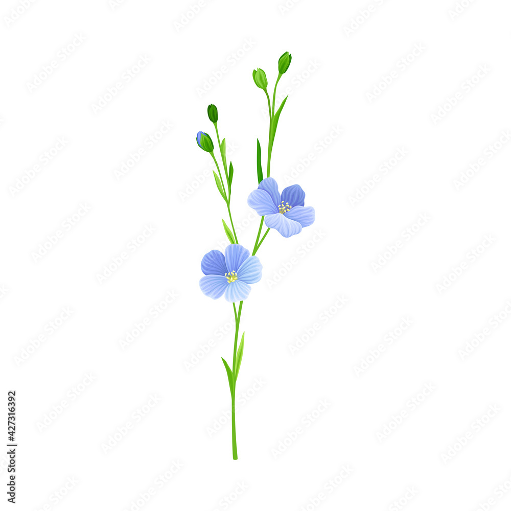 Blue Flax or Linseed Flowers with Five Petals as Cultivated Flowering Plant Specie Vector Illustration