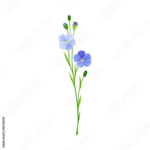 Blue Flax or Linseed Flowers with Five Petals as Cultivated Flowering Plant Specie Vector Illustration