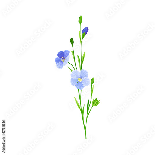 Blue Flax or Linseed Flowers with Five Petals as Cultivated Flowering Plant Specie Vector Illustration