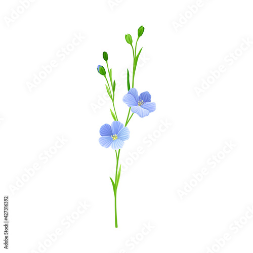 Blue Flax or Linseed Flowers with Five Petals as Cultivated Flowering Plant Specie Vector Illustration