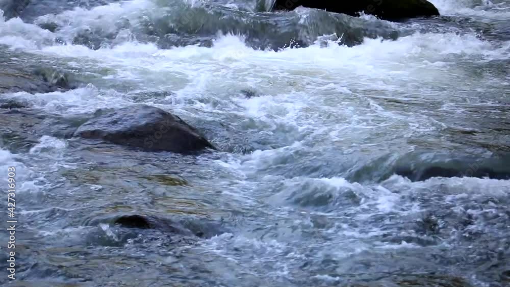 夏の香嵐渓を流れる河川 スライド 15sec