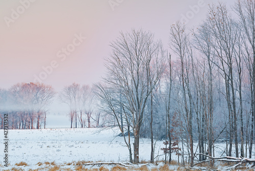 Winter landscape of frosted trees in a rural setting at sunrise, Michigan, USA
