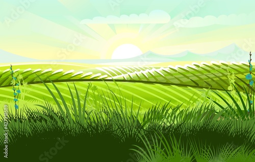 Hills and meadows. Haymaking pastures. Agricultural farm land. Green grass. Grassland for farming. Beautiful countryside landscape. Vector