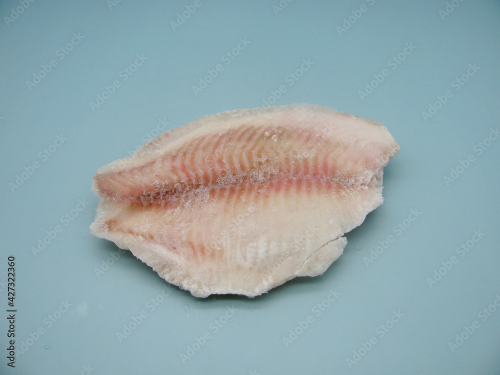 Raw frozen tilapia fish fillet on a blue background. One piece.