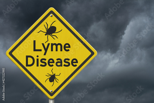 Lyme Disease warning on a on yellow highway caution road sign