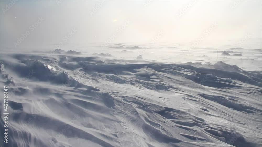 Arctic Storm, Arctic Blizzard, Snow Drift, High Wind, white storm. Arctic Blizzard. Arctic storm. Polar winter. Snow Storm. Hard Winter. Blowing Wind. Powder Snow Particles. Extreme Temperature Arctic Storm, Arctic Blizzard, Snow Drift, High Wind, white storm. Arctic Blizzard. Arctic storm. Polar winter. Snow Storm. Hard Winter. Blowing Wind. Powder Snow Particles. Extreme Temperature