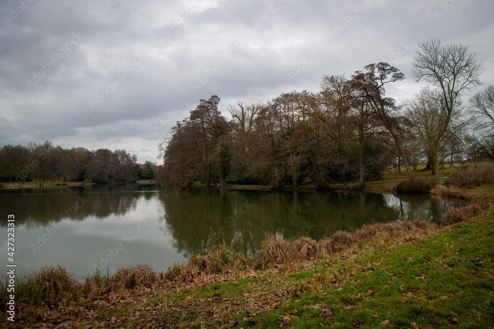 Fototapeta premium lake and trees