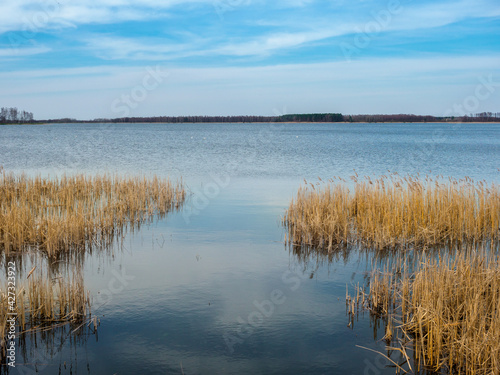 A view of the Krzczeń lake coming to life after winter.