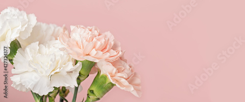 Lente bloemboeket van anjers over roze achtergrond. Bruidsboeket, online blog header