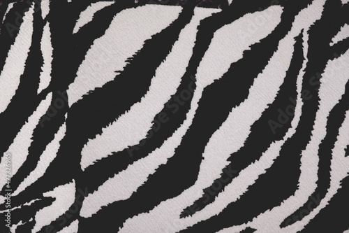 Zebra skin texture fabric detail