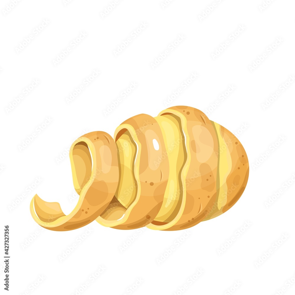 Potato with twisted peel. Vector illustration of vegetable, peeled potatoes. Potato with twisted peel. Vector illustration of vegetable, peeled potatoes.