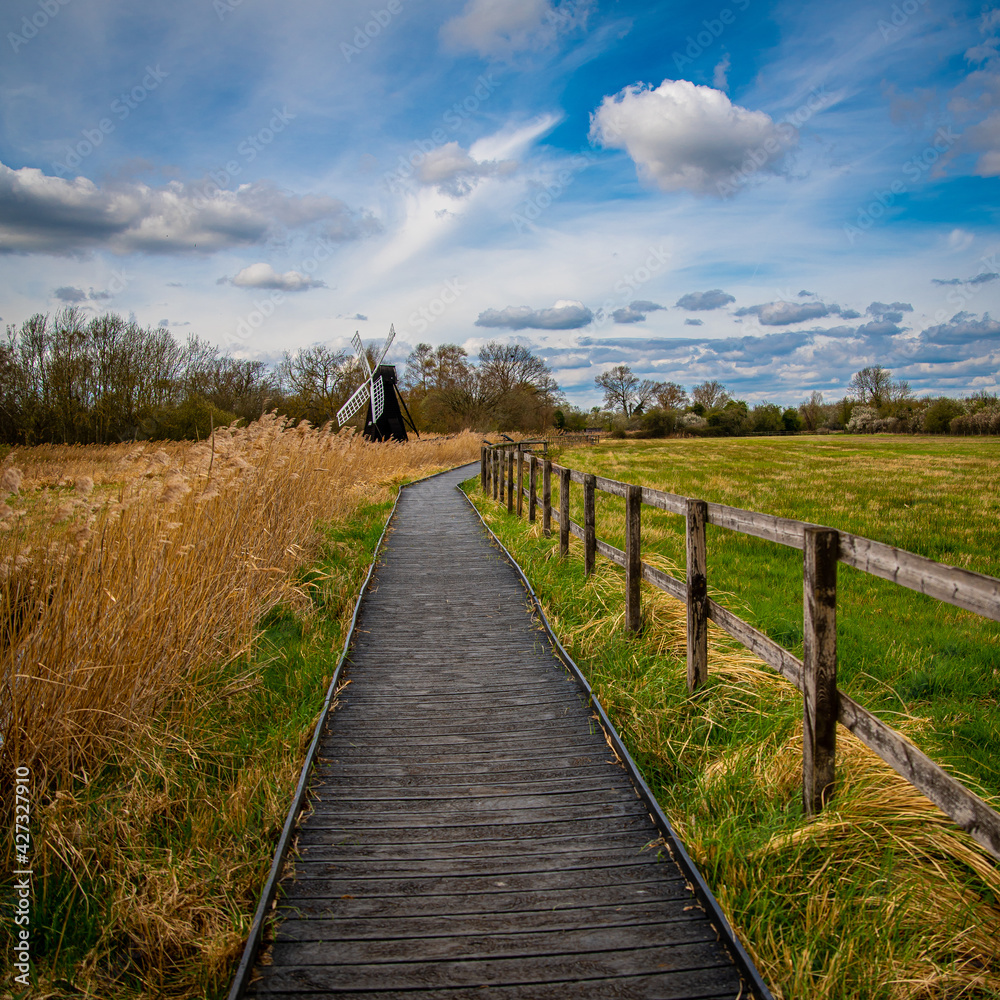 wooden path in the countryside