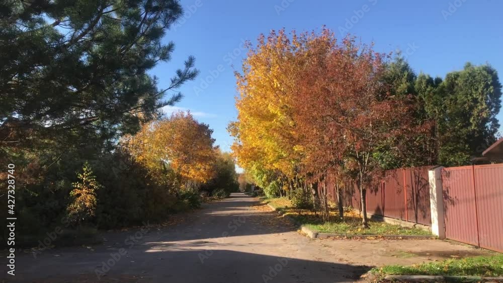 A clear day, a street with yellow trees and a fence on a private property. Paved road, a white car passes in the distance. Autumn countryside landscape. High quality FullHD footage A clear day, a street with yellow trees and a fence on a private property. Paved road, a white car passes in the distance. Autumn countryside landscape. High quality FullHD footage