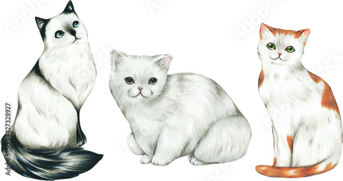 three cats.