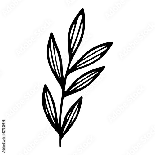 Eco leaf branch icon, hand drawn and outline style