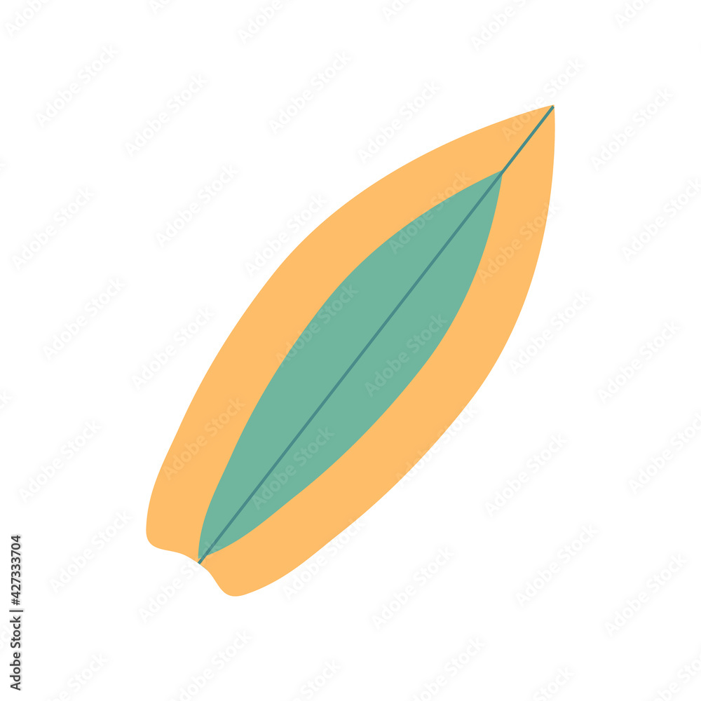 Isolated image of a surfboard on a white background Isolated image of a surfboard on a white background