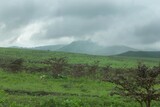 paysage Safari_nuageux