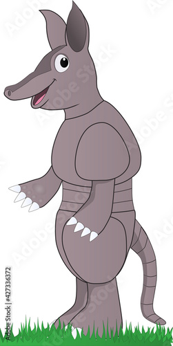armadillo 