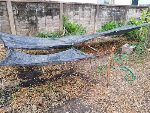 irrigation system in a farm