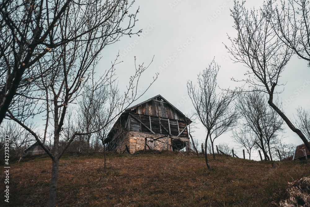 Fototapeta premium Old wooden house in village