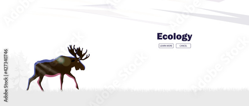 An elk with horns comes out of the forest in the fog. Environmental banner