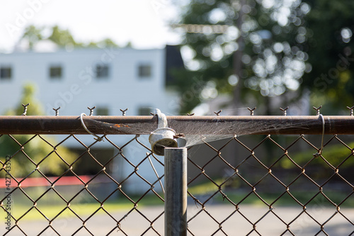 spider web on broken chain link fence