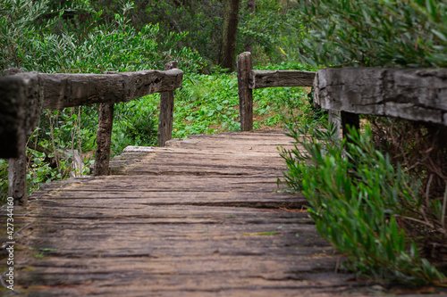 Small wooden bridge in the forest.