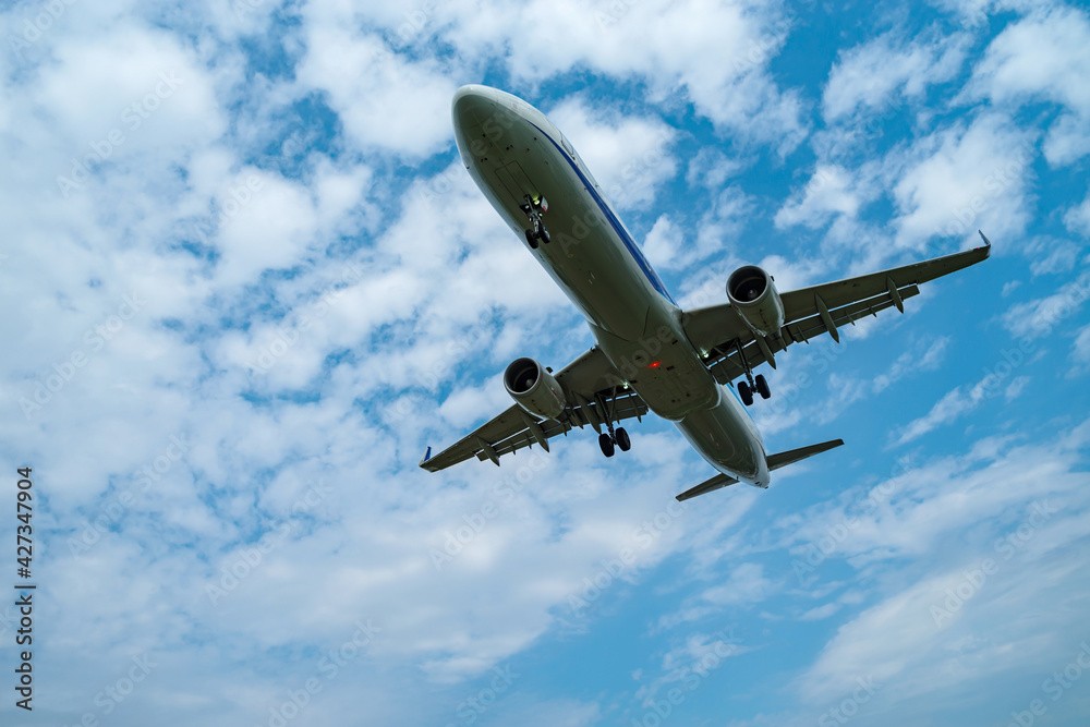 Naklejka premium 着陸態勢で滑走路へアプローチする中型旅客機