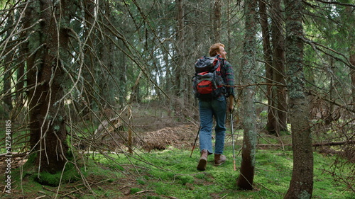 Male hiker walking between trees in forest. Man with backpack hiking in woods