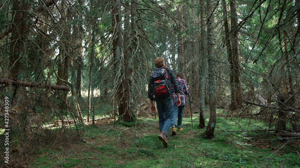 Smiling hikers walking in forest. Couple of tourists trekking between trees Smiling hikers walking in forest. Couple of tourists trekking between trees