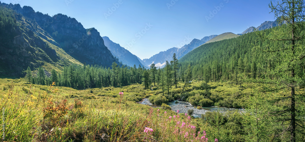 Mountain valley in summer greenery, sunny morning