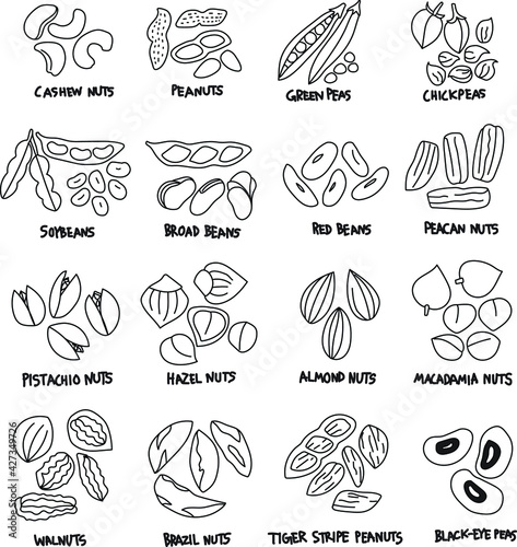 Hand drawn organic cereal and grain seed collection in doodle art style on white background