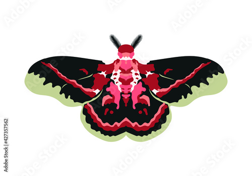 moth cartoon illustration. colorful insect illustrated in realistic drawing. colored animation of lepidoptera in vector graphic.