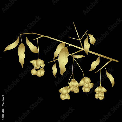 Branch of spindle tree (Euonymus europaeus) with leaves and berries. Golden glossy silhouette on black background.