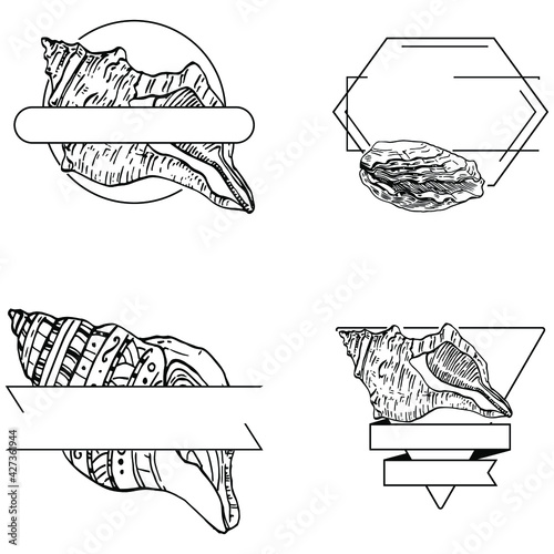 Wallpaper Mural Sea shell logo with Hand drawn sketch black lines on a white background. Template for menu or spa poster. Seafood or Travel emblem. Torontodigital.ca